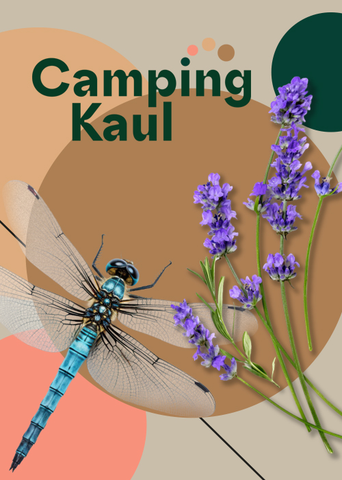 Roboro Marketing aus Luxemburg - Webdesign für unseren Kunden Camping Kaul